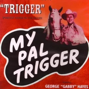 MY PAL - TRIGGER