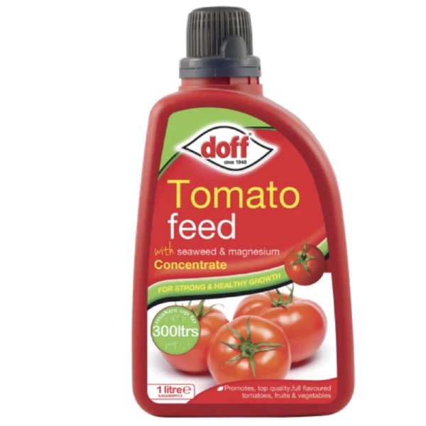 Tomato Feed