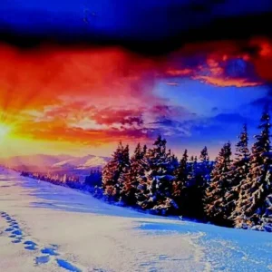 Set of 2 Winter LED Canvas with Remote