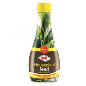 House Plant Liquid Feed