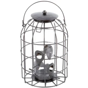 Squirrel Proof Seed Feeder