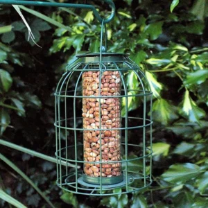 Nut Feeder with Squirrel Guard