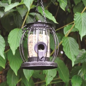 Mini Lantern Seed Feeder