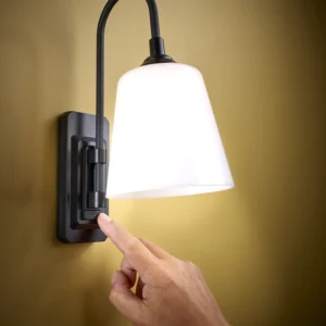 Wall Mounted Lamp