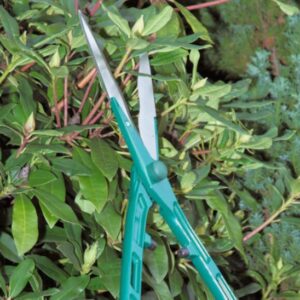 Lightweight Hedge Shears